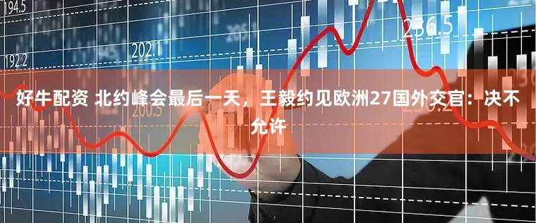 好牛配资 北约峰会最后一天，王毅约见欧洲27国外交官：决不允许