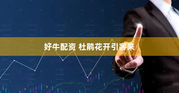 好牛配资 杜鹃花开引客来